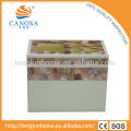 Canosa shell washroom colecciones pasta de dientes rosa shell y cepillo de dientes titular